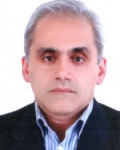 Hamed Habibzadeh